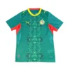 105-8.webp Senegal Thuisshirt 2025/26
