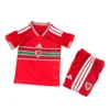 Wales WK Thuis Set 2026 Kids