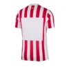 Athlético Madrid Thuisshirt 2025/26